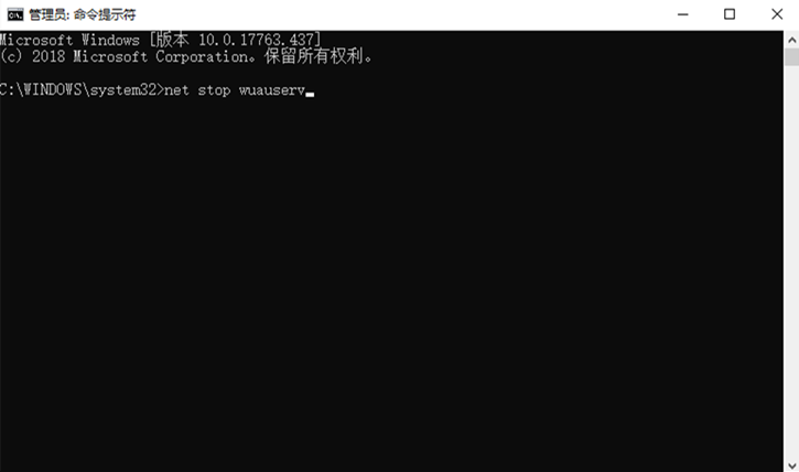 Win10更新失敗出現(xiàn)”0x800700C1“錯誤的解決方法